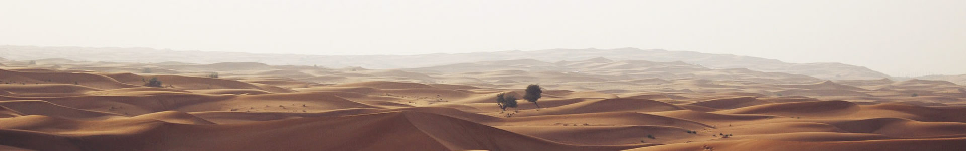 زֽ̼޹˾